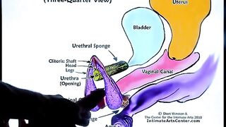 Squirting tutorial 2 by Mr PussyLicking, where he shares his expertise on how to achieve intense female pleasure. Known for his passionate dedication to fulfilling female pleasure, Mr PussyLicking, who operates under the alias MrLicking, brings his person