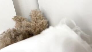 Guy smelled panties and fucked curva in her wet pussy with real orgasm