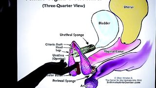 How to Squirt? The ultimate guide by Mr. PussyLicking, featuring intense, wet orgasms and passionate pussy licking that highlights the art of squirting in stunning HD clarity at 60fps