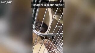 A couple has sex in a capsule hostel and then continues their journey