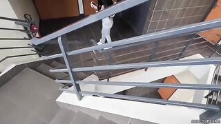 Fucking FMM with Chilean model in the elevator and toilet
