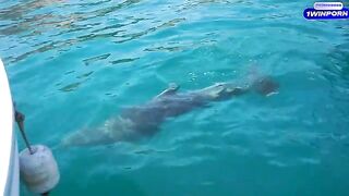 Romantic boat date with a hot chick ends with sex on the island