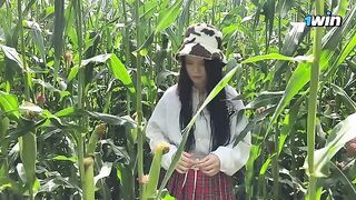A security guard caught a thief in a cornfield and issued a ticket to the suspect