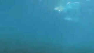 Underwater sex with aqualangists at the bottom of the sea