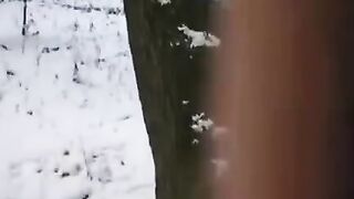 The guy tried to freeze the girl’s vagina with his cock in a daring move