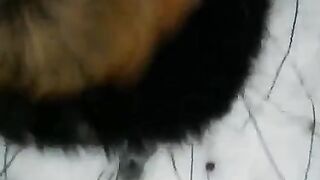 Girl made a blowjob right in the street, because of the attraction