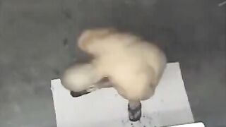 A hidden camera in the shower captured a naked man’s intimate moment