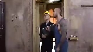 The trio has always been more fun to fuck with than gay
