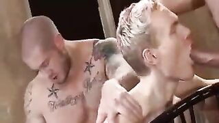 The trio has always been more fun to fuck with than gay