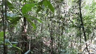 Fresh air and her warm lips on my cock in POV style