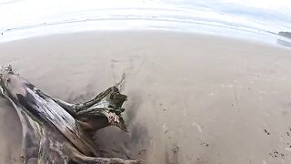 The beach is always humid — from the water and because of the couple’s passion